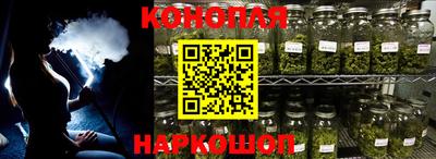 амф Можга