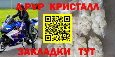 амф Можга