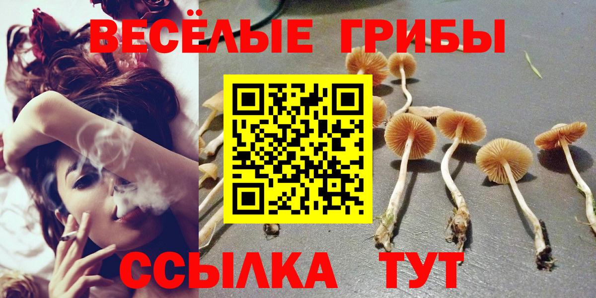 Юрга  Псилоцибиновые грибы прущие грибы  Вход с VPN 